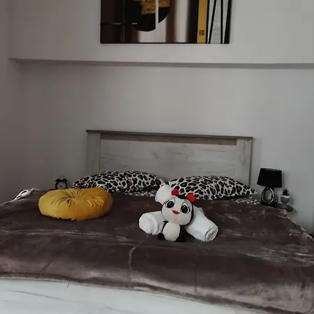 New Apartament