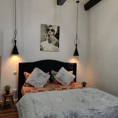 Apartment New Brasov