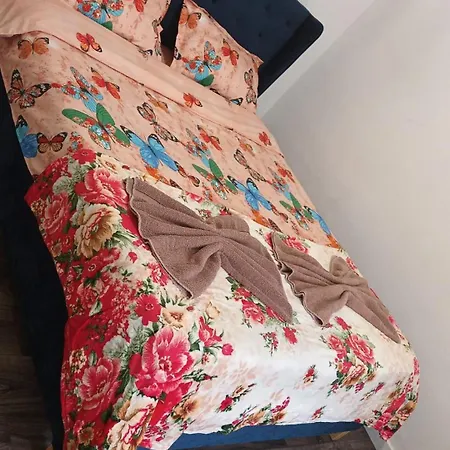New *